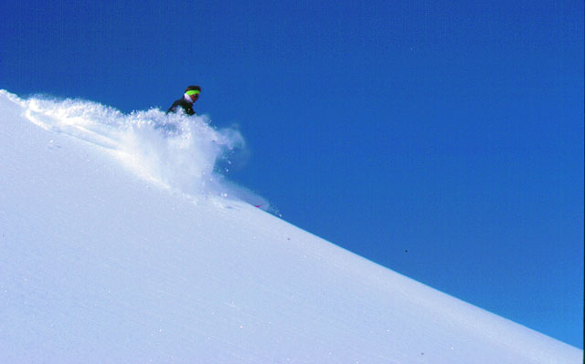 Another great powder day in the Alps.