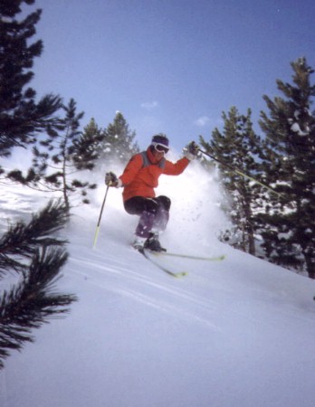 Skiing through trees