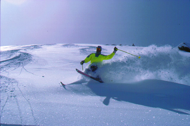 Carving a wave of powder